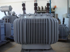 TRANSFORMADORES DE DISTRIBUI��O E/OU FOR�A